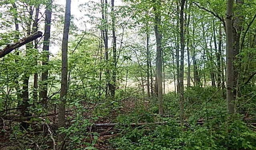 15252 27 Mile Rd, Albion, MI 49224 - 0 Beds, 0 Bath