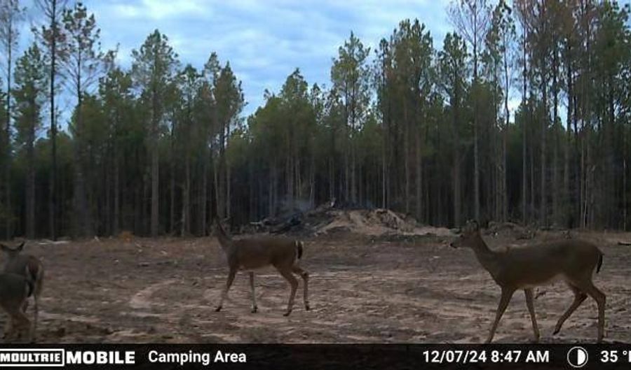 19 43 Big Rocks Rd, Antlers, OK 74523 - 0 Beds, 0 Bath
