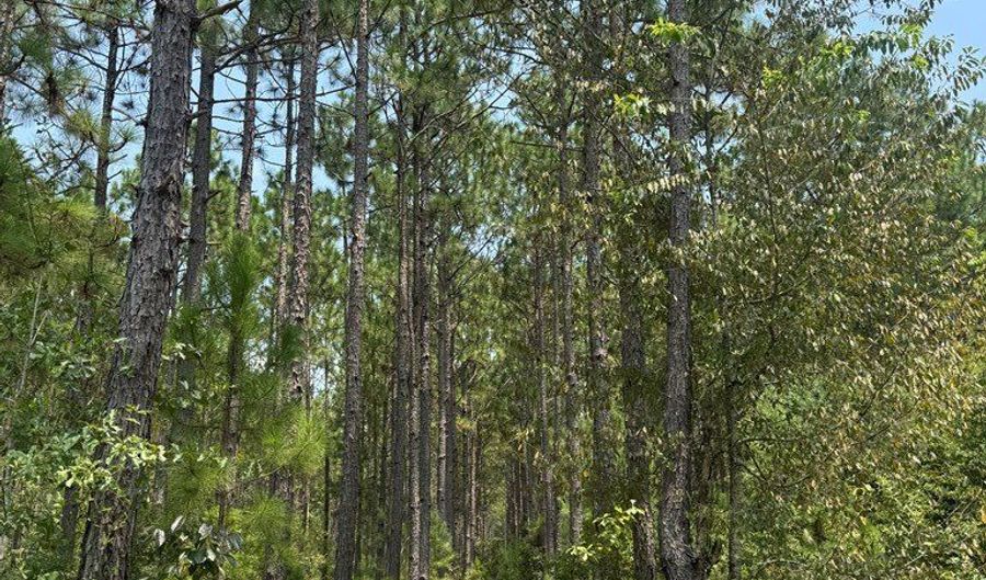 Luke Road lot 02, Ashburn, GA 31714 - 0 Beds, 0 Bath