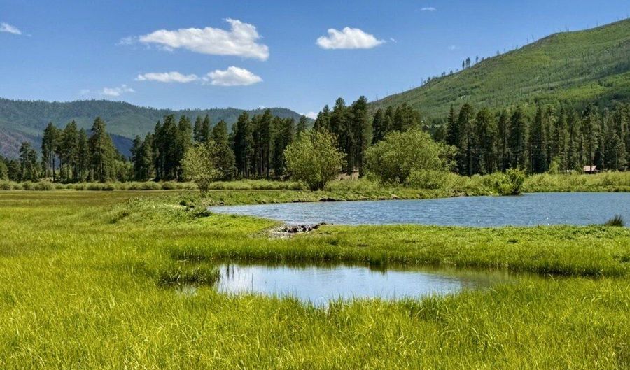 156 Golden Forest Rd, Bayfield, CO 81122 - 0 Beds, 0 Bath