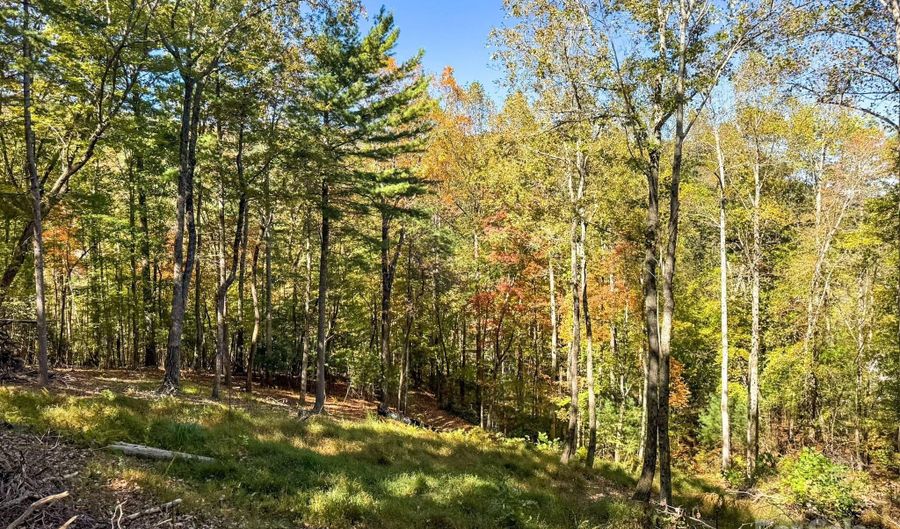 212 Judson Ridge Rd, Arden, NC 28704 - 0 Beds, 0 Bath