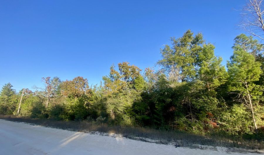 Anderson Drive lot 34, Alford, FL 32420 - 0 Beds, 0 Bath