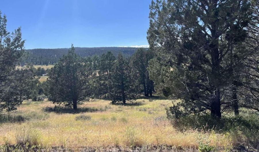 639 Pheasant Dr, Alturas, CA 96101 - 0 Beds, 0 Bath