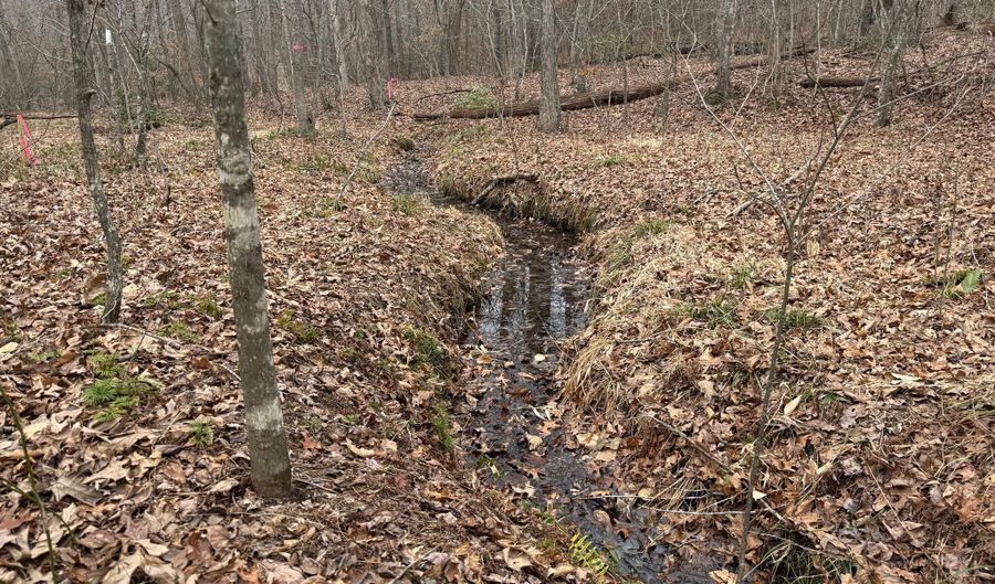 HARDWARE RD lot 2, Arvonia, VA 23004 - 0 Beds, 0 Bath