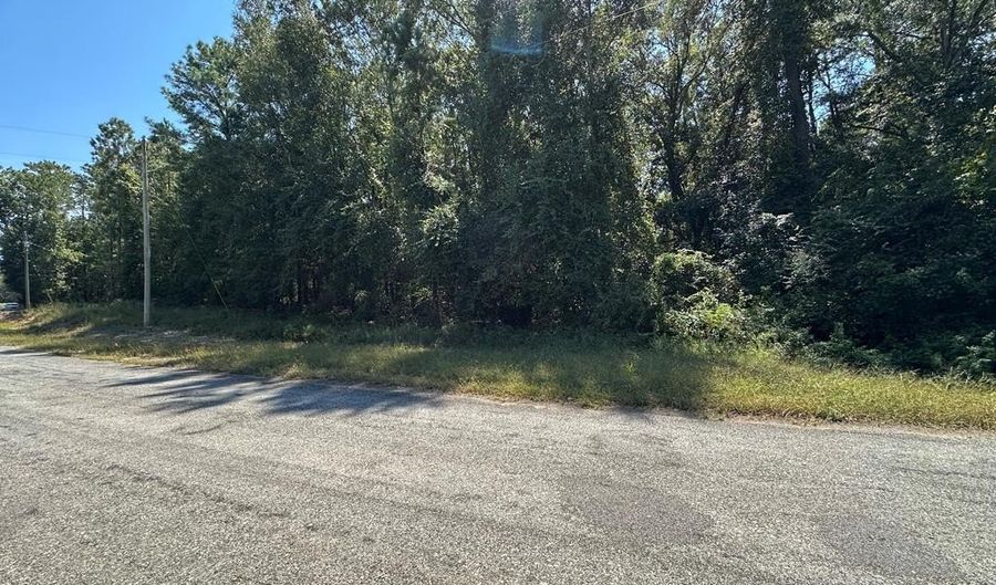 176 Pebble Cove Rd, Abbeville, AL 36310 - 0 Beds, 0 Bath