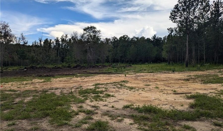 0 Lee Road 393, Auburn, AL 36832 - 0 Beds, 0 Bath