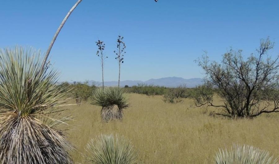 40 ACRE Near Ironwood Rd, Cochise, AZ 85606 - 0 Beds, 0 Bath