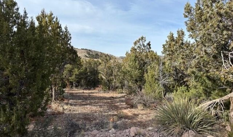 277 N Pinion Cir, Central, UT 84722 - 0 Beds, 0 Bath