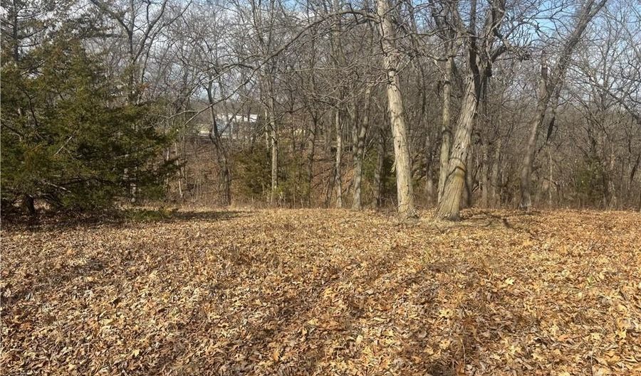 Lot 3109 Lake Viking Terrace, Altamont, MO 64620 - 0 Beds, 0 Bath