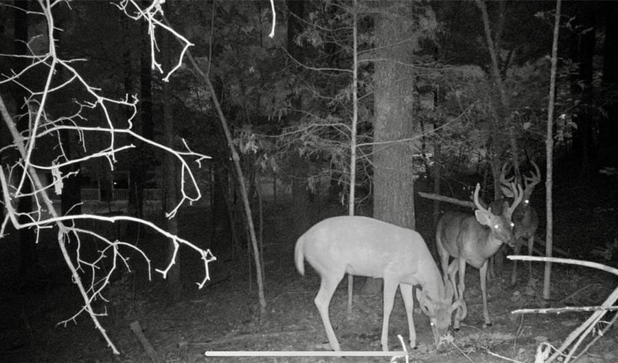 1451 Highway 140 NW, Adairsville, GA 30103 - 5 Beds, 4 Bath