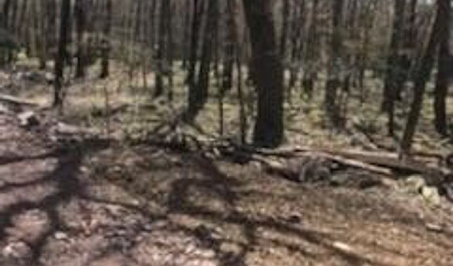 Cree Trail, Albrightsville, PA 18210 - 0 Beds, 0 Bath