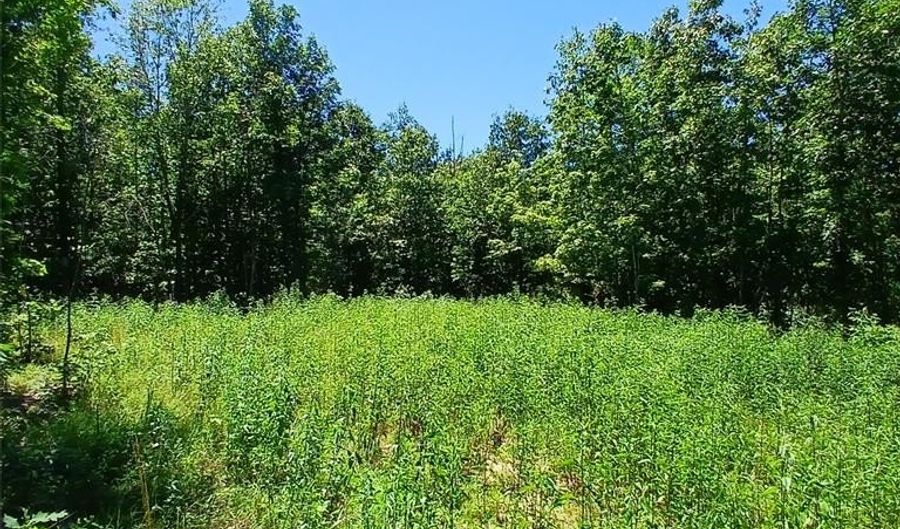0000000 Easement, Annapolis, MO 63620 - 0 Beds, 0 Bath