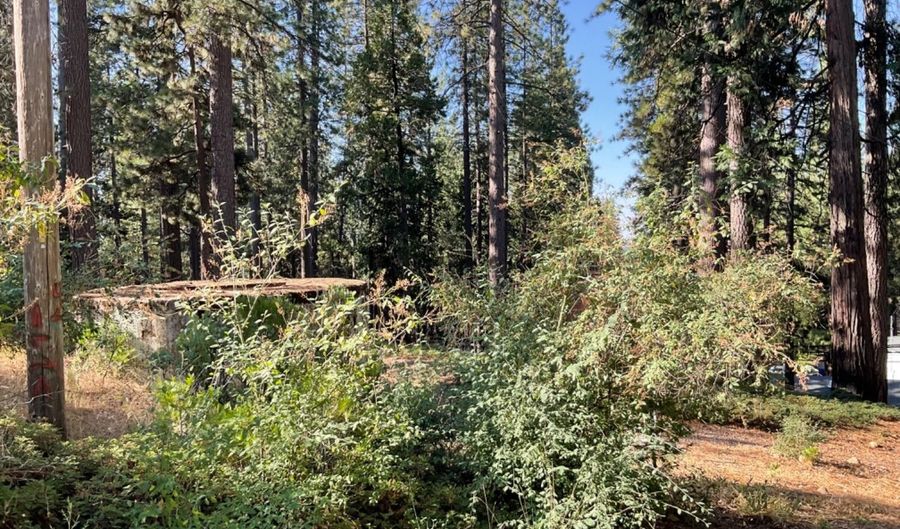 791 Highway 4, Arnold, CA 95223 - 0 Beds, 0 Bath