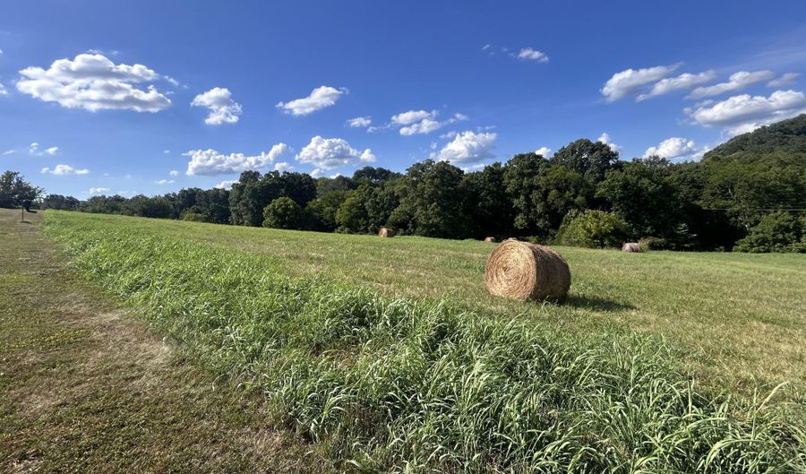 Lot 8c River Ranch, Blaine, TN 37709 - 0 Beds, 0 Bath