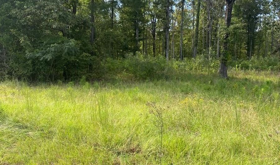 5506 Hwy 72, Calhoun Falls, SC 29628 - 0 Beds, 0 Bath