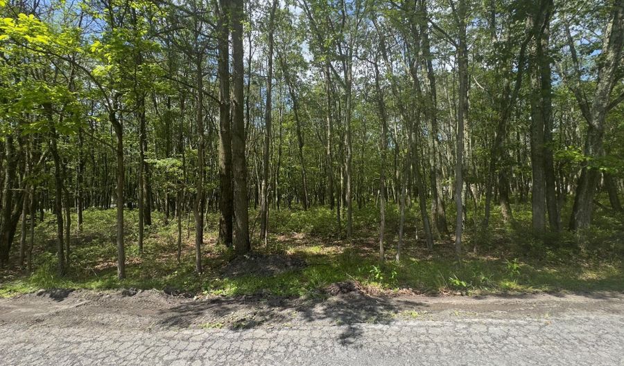 Seneca Trail, Albrightsville, PA 18210 - 0 Beds, 0 Bath