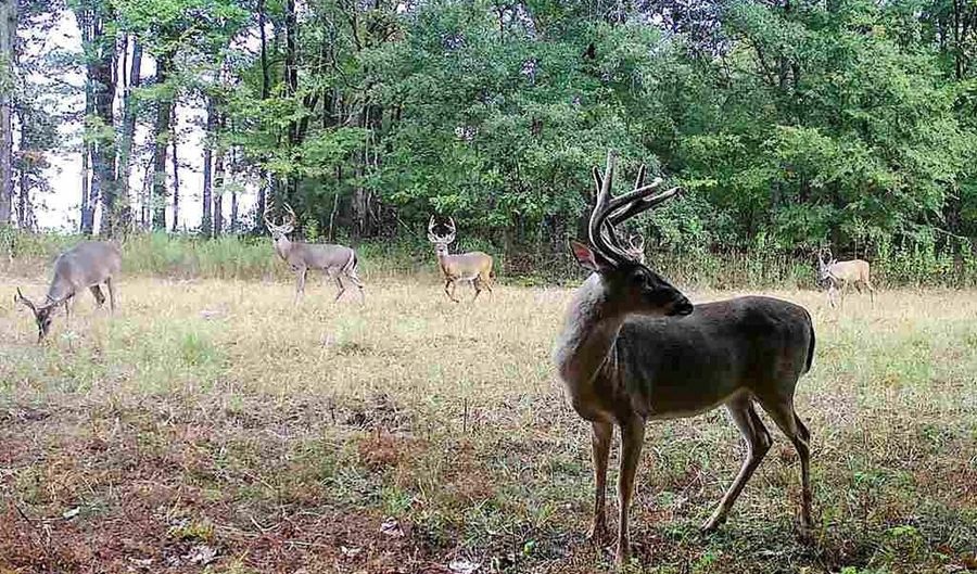 6075 Curtis Rd, Batesville, MS 38606 - 0 Beds, 0 Bath