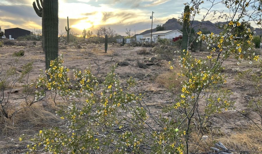 N Delaware Drive, Apache Junction, AZ 85120 - 0 Beds, 0 Bath