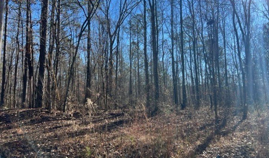 Creek Road, Ashland, AL 36251 - 0 Beds, 0 Bath