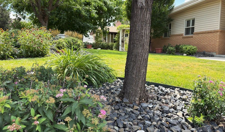 74 S RIDGEVIEW E, Bountiful, UT 84010 - 6 Beds, 1 Bath