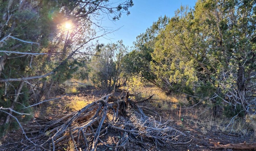 88- D Rose Ln, Ash Fork, AZ 86320 - 0 Beds, 0 Bath