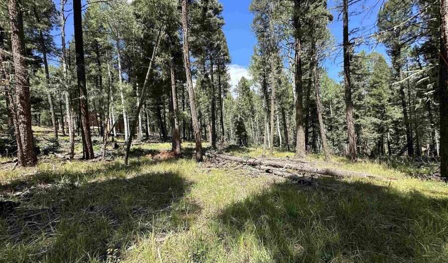 Lot 10 Alpine Lake Terrace, Angel Fire, NM 87710 - 0 Beds, 0 Bath