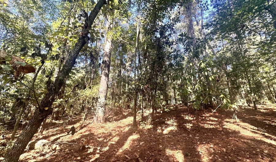 0 Highway 3, Blackville, SC 29817 - 0 Beds, 0 Bath