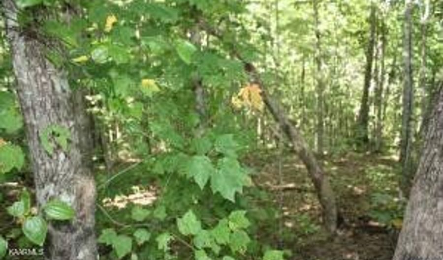 Lot 22 Cumberland View Drive, Crossville, TN 38555 - 0 Beds, 0 Bath