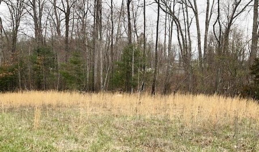 Della Lane lot 6 8, Austinville, VA 24312 - 0 Beds, 0 Bath