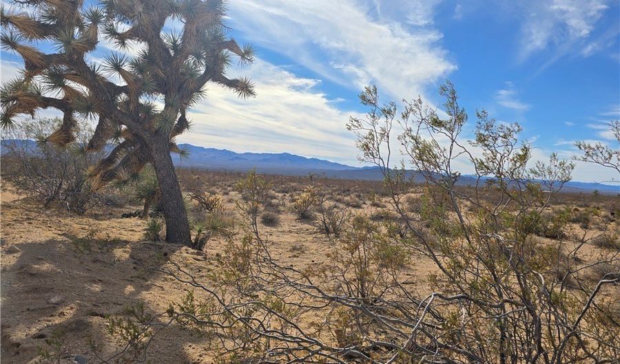 320 Acres W Brittlebush Dr, Yucca, AZ 86438 - 0 Beds, 0 Bath