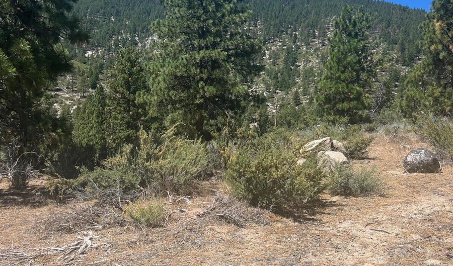 3559 Knob Point Trl 90, Carson City, NV 89705 - 0 Beds, 0 Bath