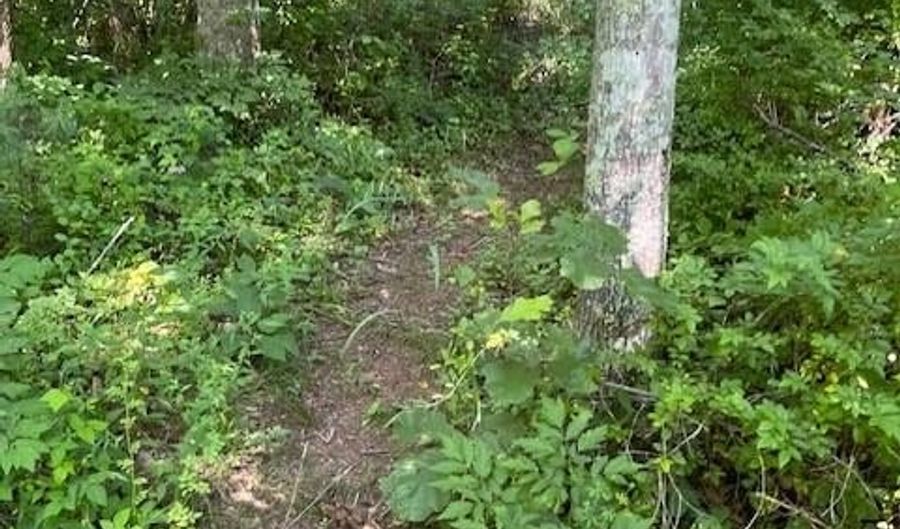 99999 Old NC 20 Hwy Tract C, Alexander, NC 28701 - 0 Beds, 0 Bath