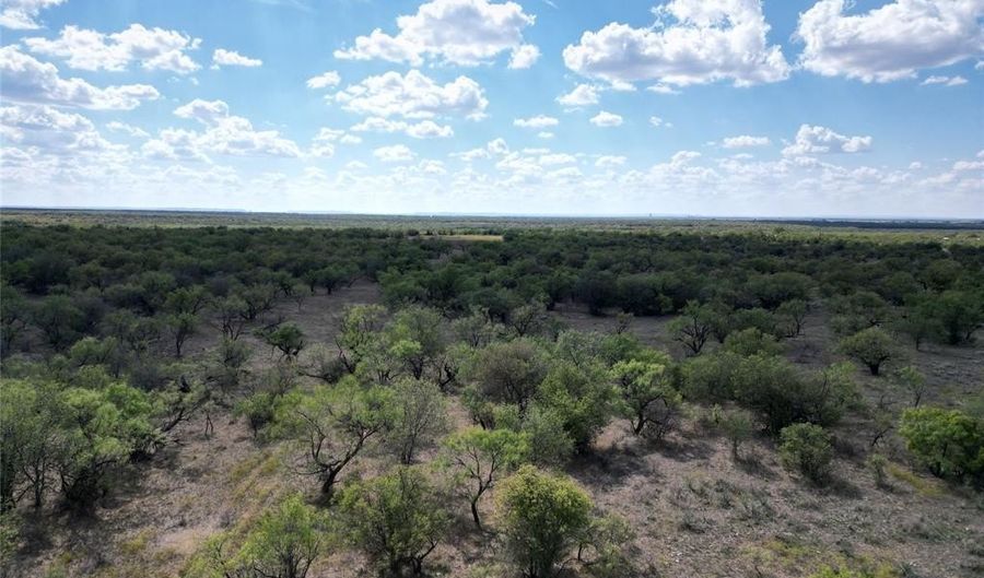 Tbd TBA CR 100, Abilene, TX 79601 - 0 Beds, 0 Bath