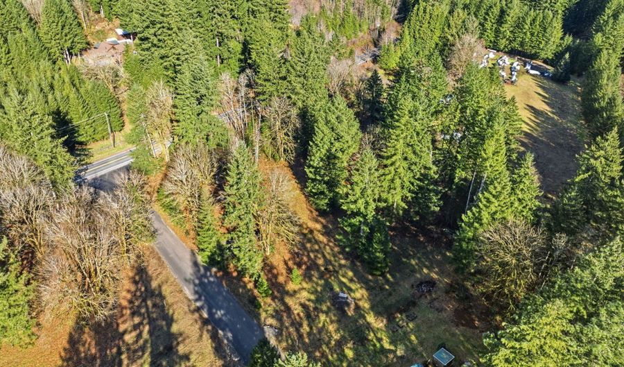 158 Windsock Rd 1, Ariel, WA 98603 - 0 Beds, 0 Bath