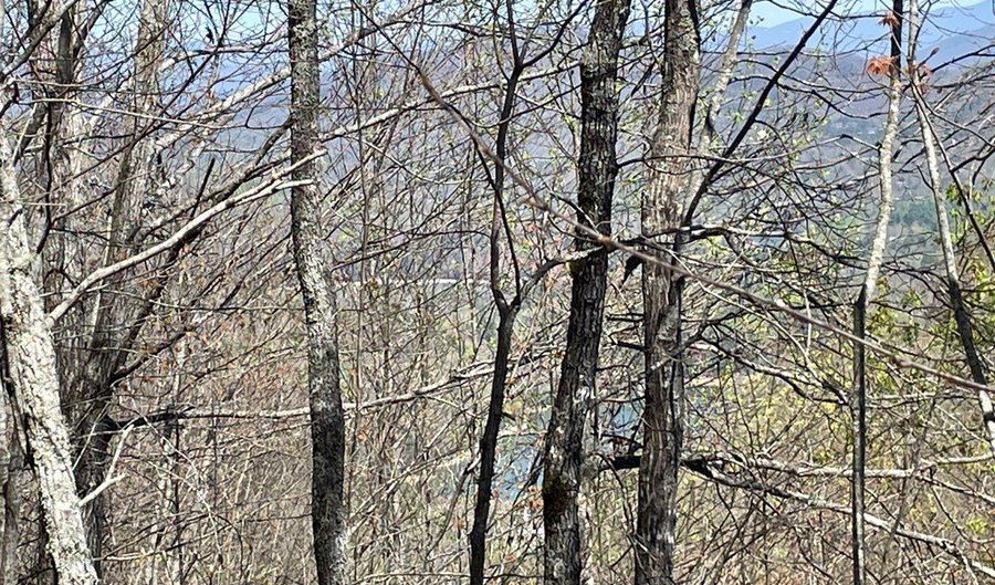 Do Hi Trail lot 13, Almond, NC 28702 - 0 Beds, 0 Bath