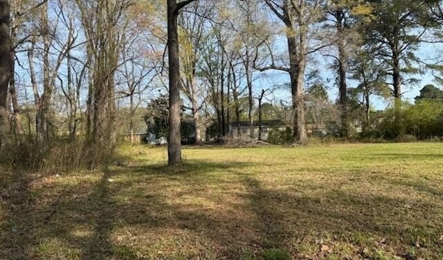 Hill Street, Ahoskie, NC 27910 - 0 Beds, 0 Bath