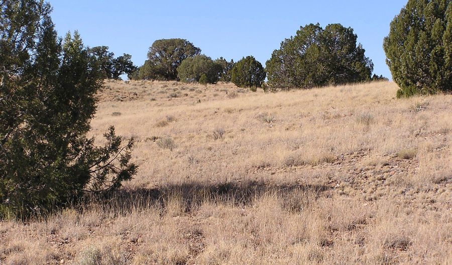 9 N9131, Concho, AZ 85924 - 0 Beds, 0 Bath