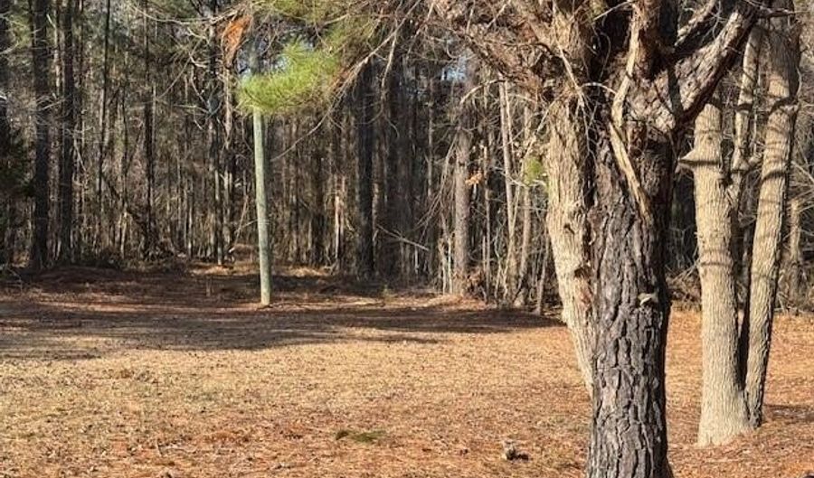 Tbd Highway 461, Ahoskie, NC 27910 - 0 Beds, 0 Bath