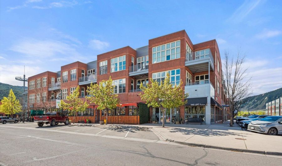 231 Robinson St 318, Basalt, CO 81621 - 2 Beds, 2 Bath