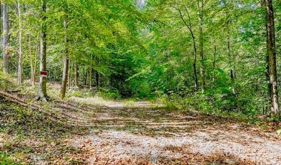 Bolestown Loop Lot 1, Alpine, TN 38543 - 0 Beds, 0 Bath