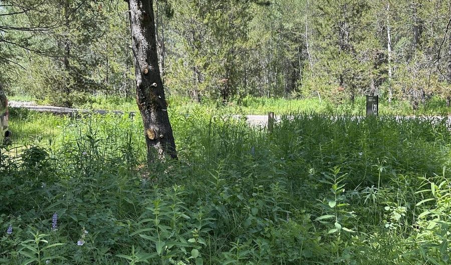 4340 BRODYS Bnd, Ashton, ID 83420 - 0 Beds, 0 Bath