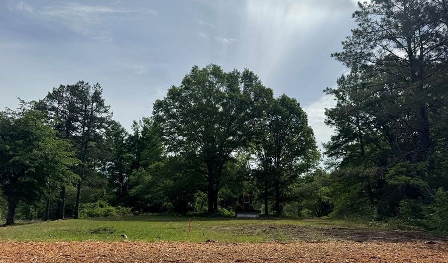 HWY 9, Banner, MS 38913 - 0 Beds, 0 Bath