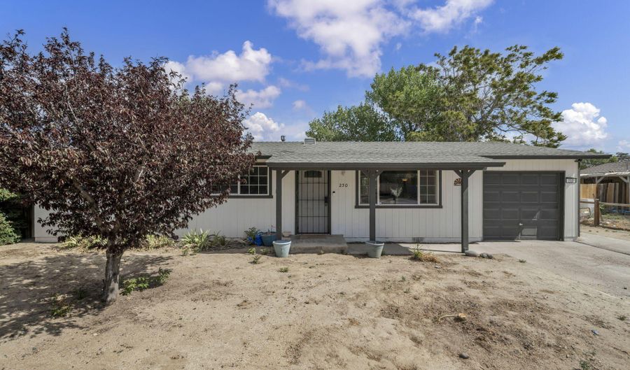 250 McCart St, Fernley, NV 89408 - 3 Beds, 2 Bath