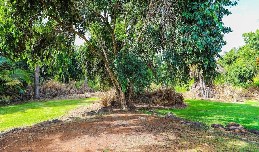 66-193 Kamehameha Hwy, Haleiwa, HI 96712 - 0 Beds, 0 Bath