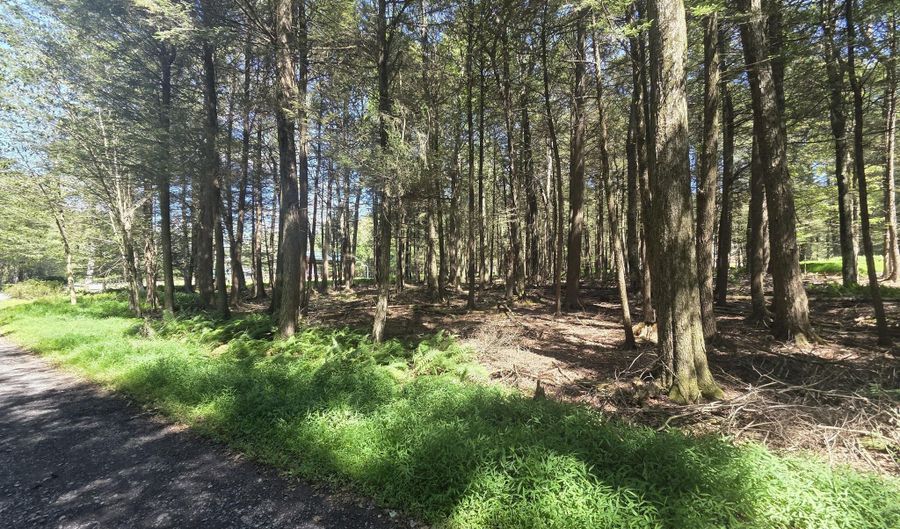 Lakeside Lane, Albrightsville, PA 18210 - 0 Beds, 0 Bath