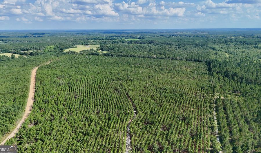 Penny Morris Road, Baxley, GA 31513 - 0 Beds, 0 Bath