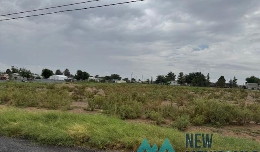 1329 Crabb St, Carlsbad, NM 88220 - 0 Beds, 0 Bath