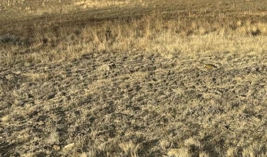 TBD Tailwinds Dr, Cody, WY 82414 - 0 Beds, 0 Bath