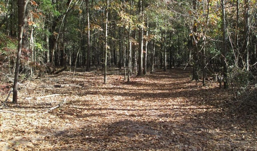 Hillside Drive, Americus, GA 31709 - 0 Beds, 0 Bath
