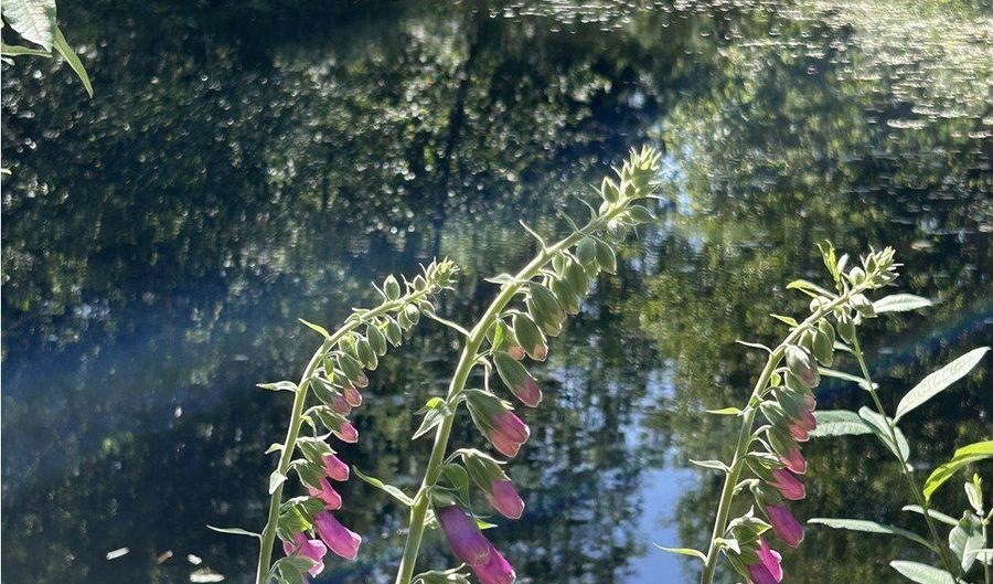 1 E Brightwood Loop Rd, Brightwood, OR 97011 - 0 Beds, 0 Bath